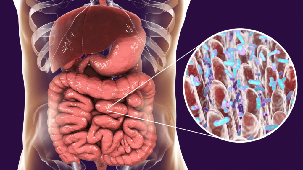 Disbiose Intestinal e Depressão: Entendendo a Conexão